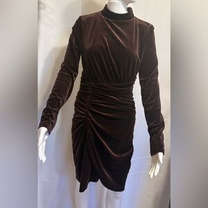 Express Brown Velvet Ruched Long-Sleeve Dress